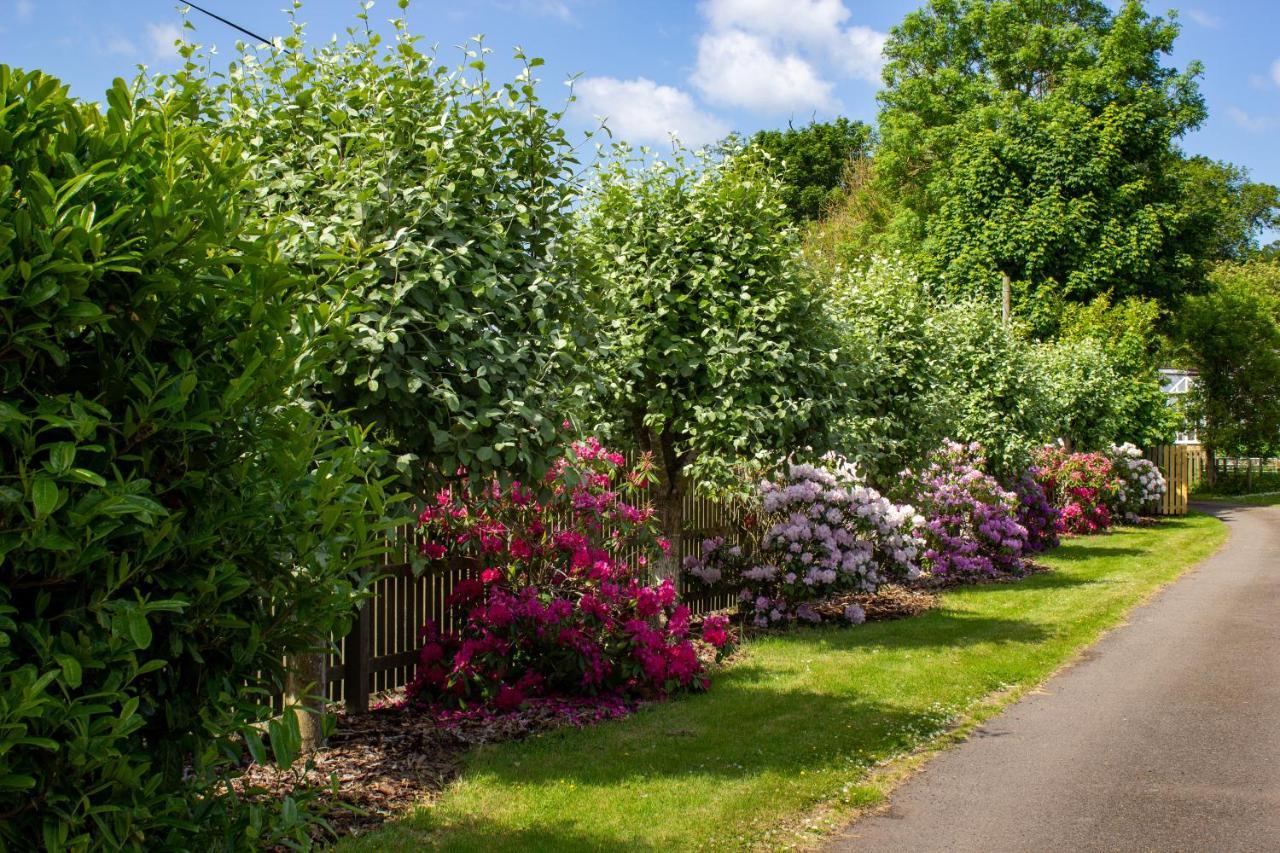 Home Farm B&B - Poppy Room Forfar Εξωτερικό φωτογραφία